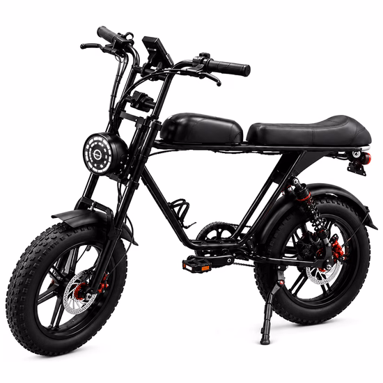 Bicicleta Elétrica Bluhan Ebike M2