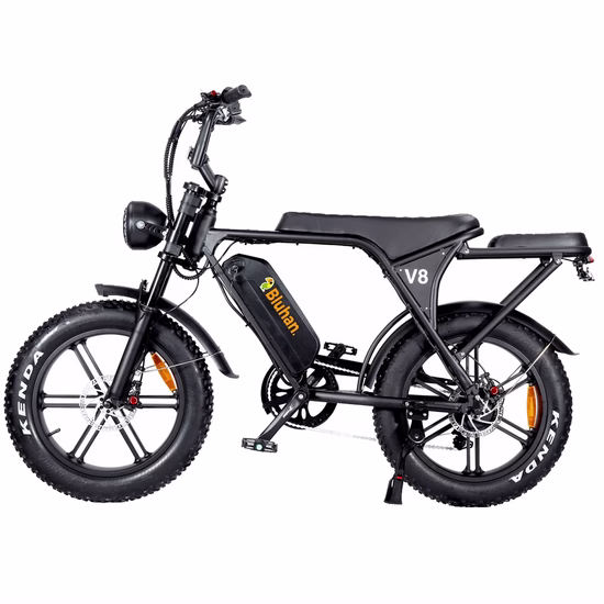 Bicicleta Elétrica Bluhan Ebike V8