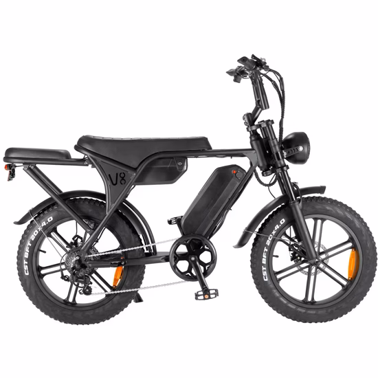 Bicicleta Elétrica Bluhan Ebike V8 Max