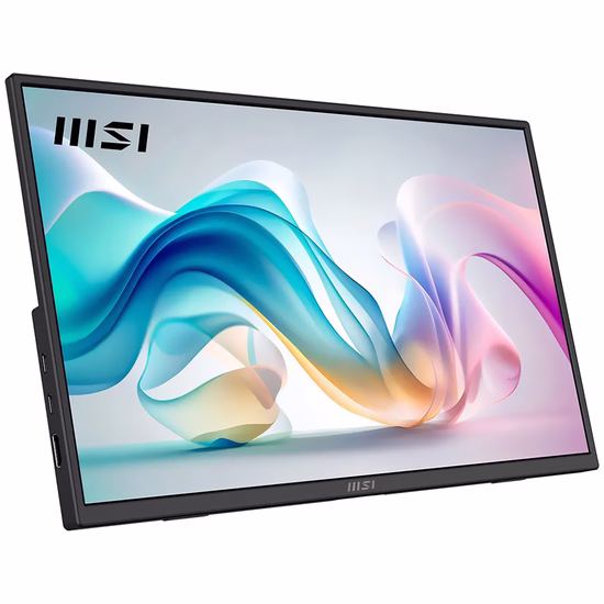Monitor MSI Pro LED MP165 E6 Full HD 15.6" foto 1