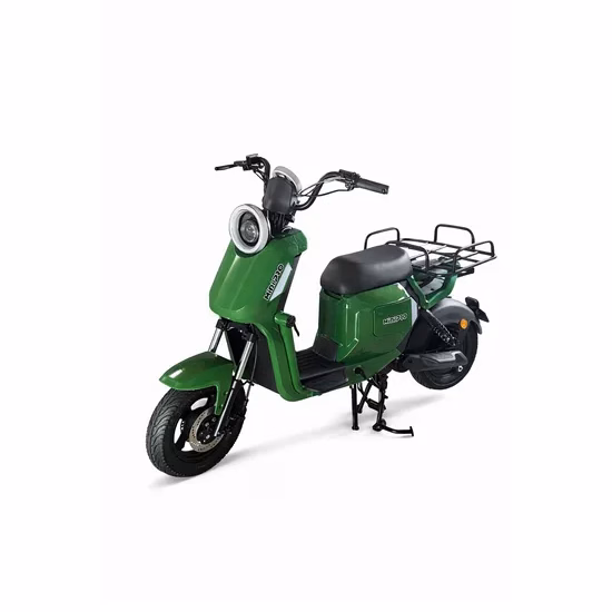 Moto Eléctri...