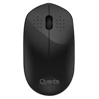  Mouse Quant...