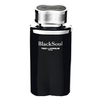 Perfume Ted Lapidus Black Soul Eau de Toilette Masculino 100ML