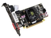 Placa de Video XFX ATI Radeon HD-5450 1GB DDR3 PCI Express foto 1