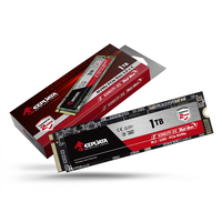  SSD M.2 Kee...