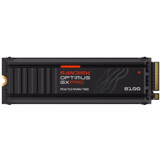  SSD M.2 San...