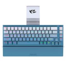 Teclado Redragon Shaco K641B-BW-RGB USB