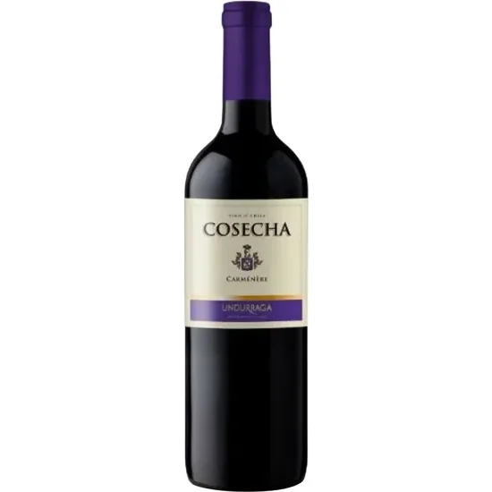  Vinho Undur...