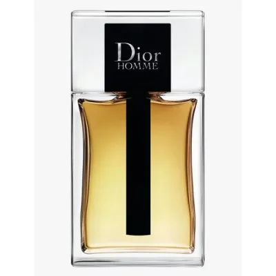 Tester Dior Homme Edt 100ML