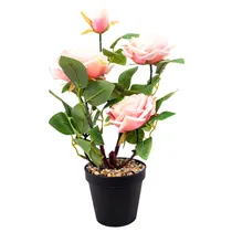  Planta Arti...