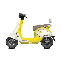 Moto Electri...
