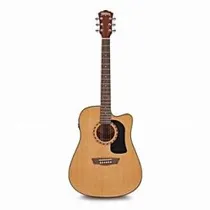  Washburn Vi...