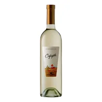 Vino Argenti...