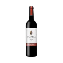  Vino Pachec...