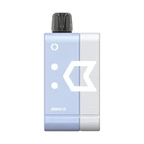 Pod Descartável Elf Bar EW9000 Kit Grape Ice