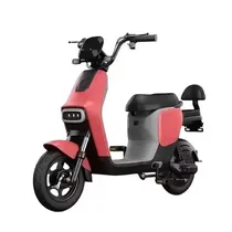 Moto Eletric...