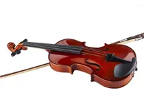  Violino Mem...