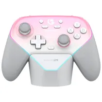 Controle Gam...