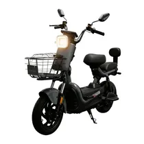 Tailg Motocicleta Electrica JK30 500W Gray