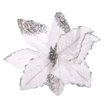  Flor Natali...