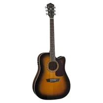  Washburn HD...