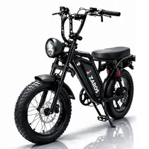 Bicicleta Bi...
