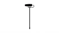 Dpa 4099 DP-1 Mic