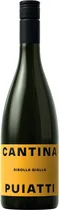  Vinho Canti...