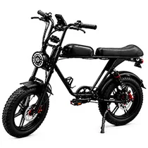  Bicicleta E...