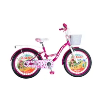 Bicicleta Ca...