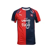  Remera Puma...