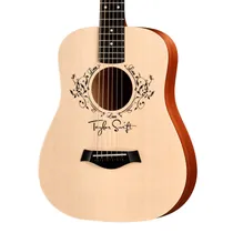 Taylor TS-Bte