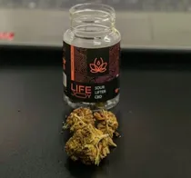  Life Green ...