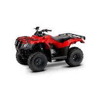 Quadriciclo Elétrico TK DP878 1000W