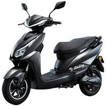Moto Elétrica Blulory ZL9 Pro - Preto