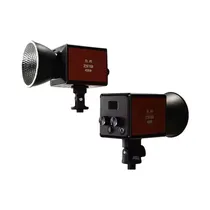  Luz LED par...