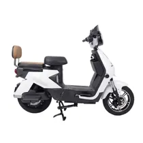 Moto Eletric...