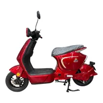 Moto Eletrica Goat Q1 800W Bordô