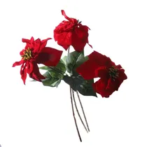  Flor Natali...