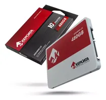 Keepdata HD SSD 480GB KDS480G-L21