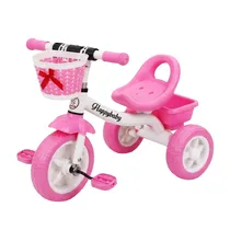  Triciclo In...