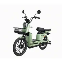  Moto Elétri...