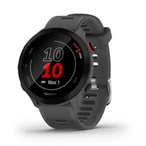 Smartwatch Garmin Forerunner 55 010-02562-13 - Graphite