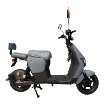 Moto Eletrica Goat Rapid 800W Cinza