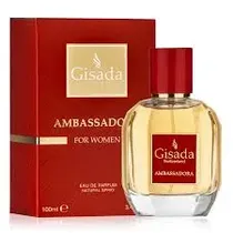  Tester Gisa...