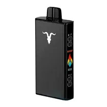 Icy Mint – Ignite V250 Black – 25000 Puffs – Pod Descartável