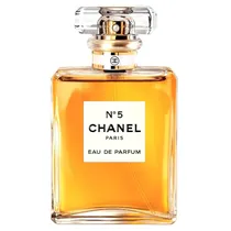 Perfume Chanel N5 Feminino Eau de Parfum 100ML