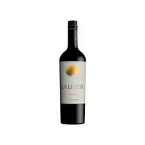 Vinho Argent...