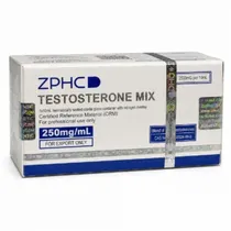  Testosteron...