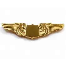  Wings Pilot...